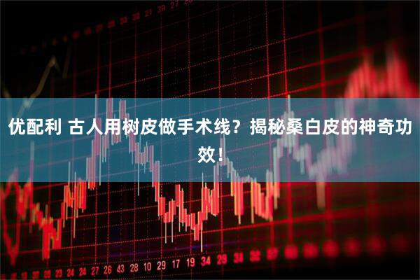 优配利 古人用树皮做手术线？揭秘桑白皮的神奇功效！