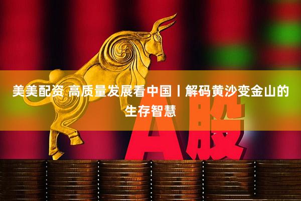 美美配资 高质量发展看中国丨解码黄沙变金山的生存智慧