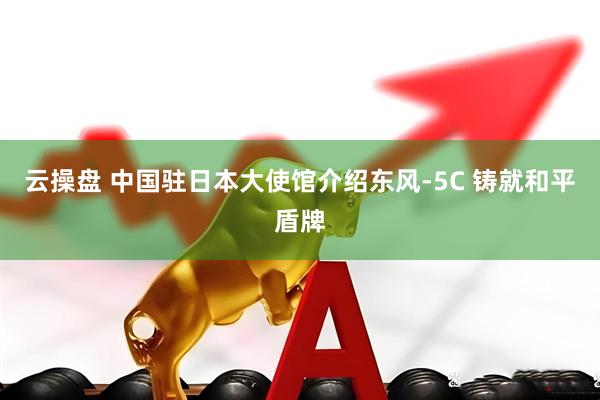 云操盘 中国驻日本大使馆介绍东风-5C 铸就和平盾牌